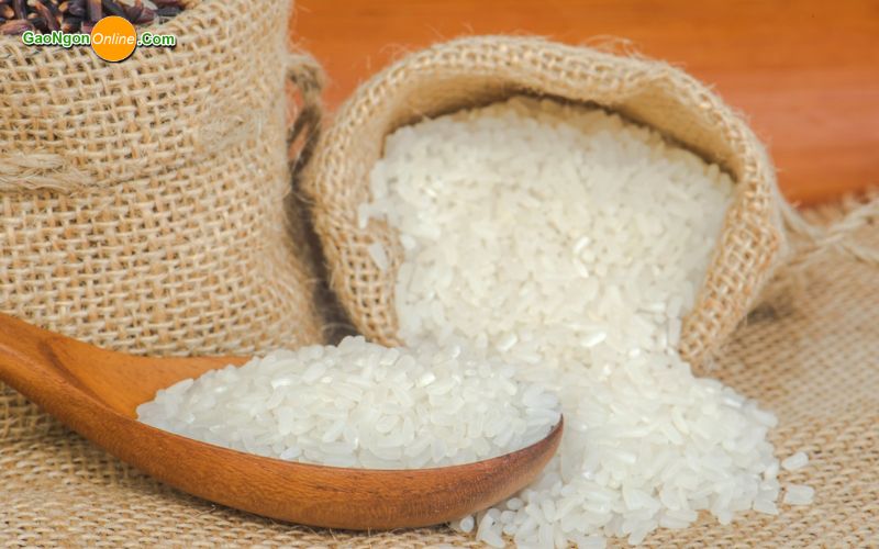 bán gạo nhật nhập khẩu
