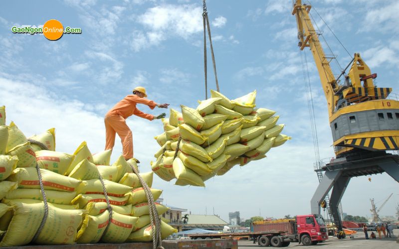 bán gạo nhật nhập khẩu