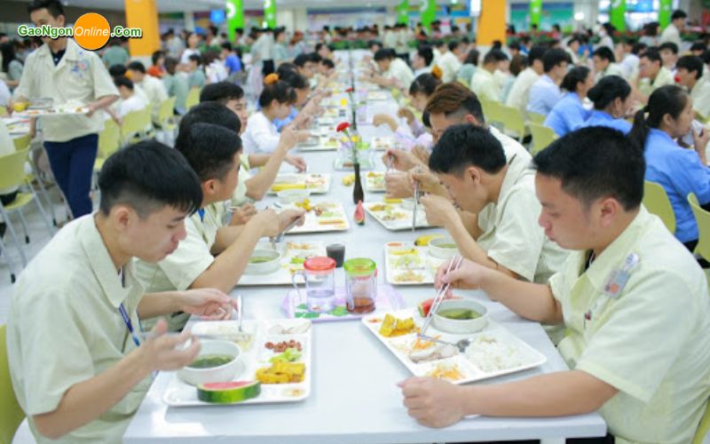 cung cấp gạo cho công ty