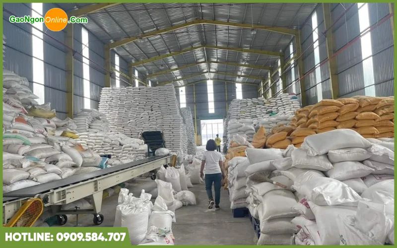 cung cấp gạo cho công ty