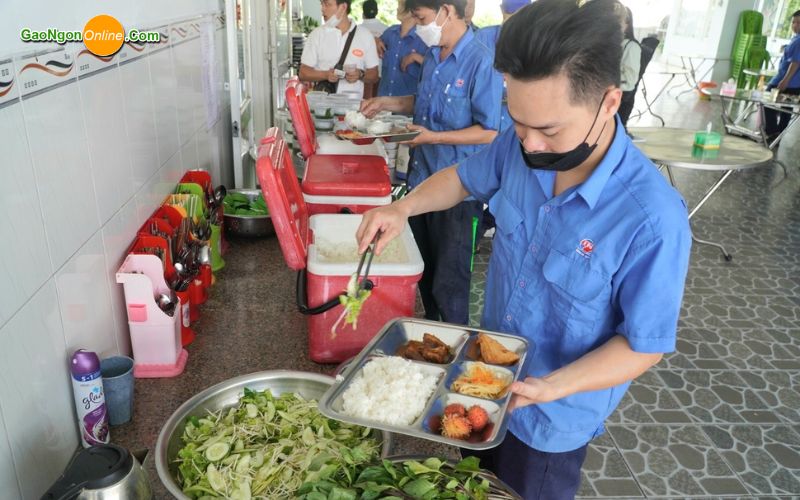 cung cấp gạo cho công ty