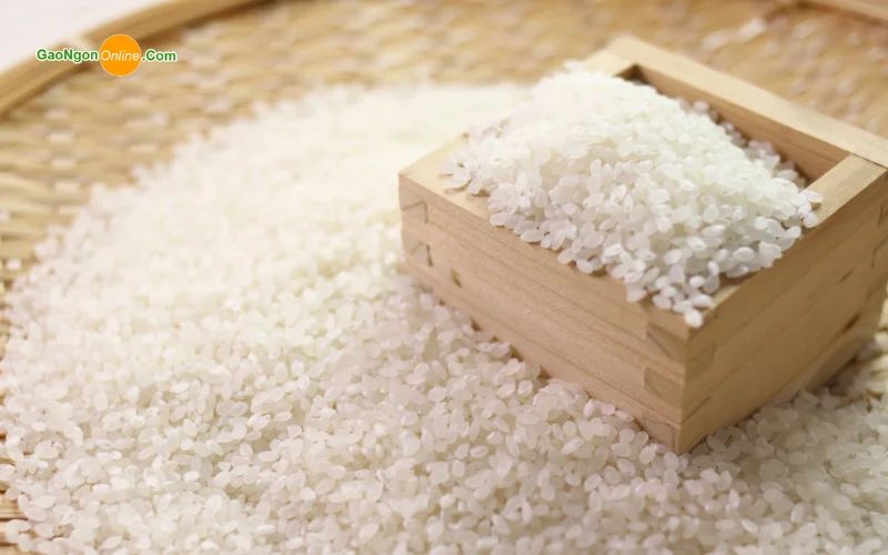 gạo Nhật Bản