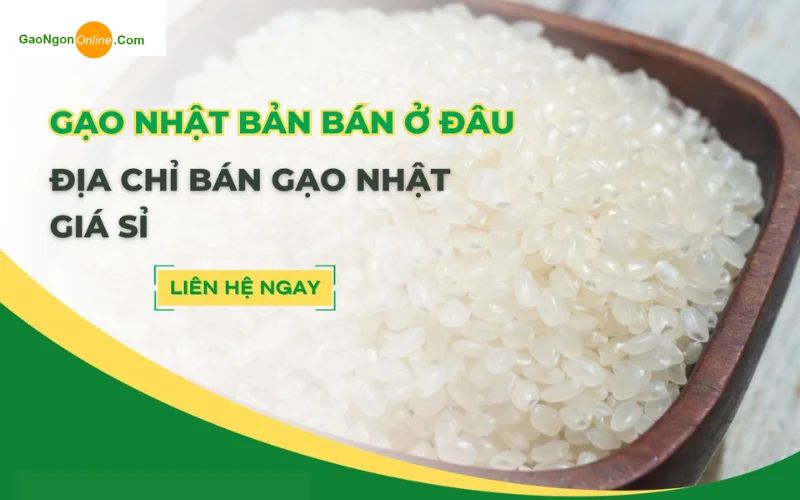 gạo Nhật Bản