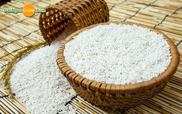 Ăn gạo sống có tốt không