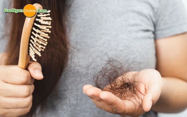 Các rủi ro đối với sức khỏe khi ăn gạo sống