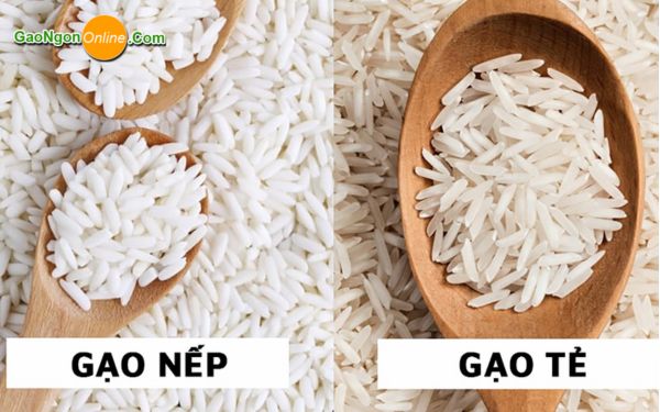 Bánh cuốn làm từ gạo nếp hay tẻ?