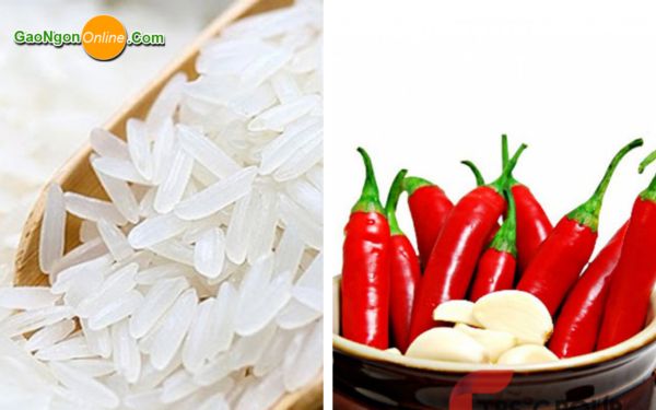 Cách bảo quản gạo để được lâu không bị mọt