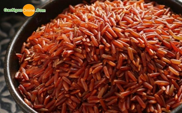 Gạo lứt bao nhiêu calo