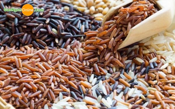 Gạo lứt là gì?