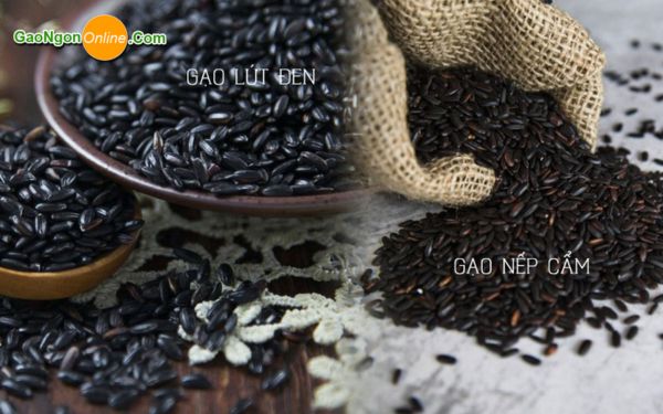 Gạo lứt và nếp cẩm có gì khác nhau