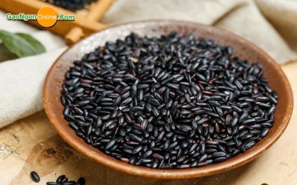 Gạo nếp cẩm là gạo gì?