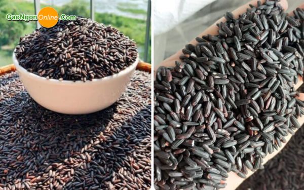 Cách nhận biết gạo lứt và nếp cẩm