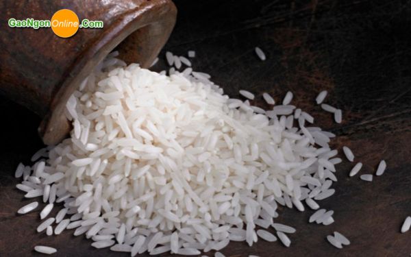 Gạo OM 18 là gì? 