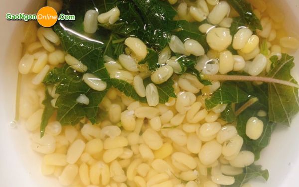 Giá trị dinh dưỡng của đậu xanh