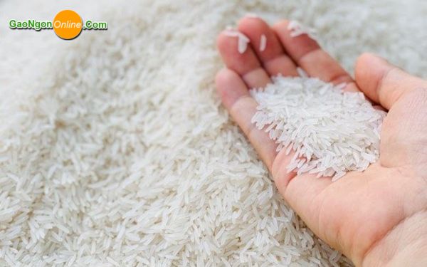 Kiểm định chất lượng