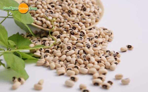 Những ai không nên ăn đậu trắng