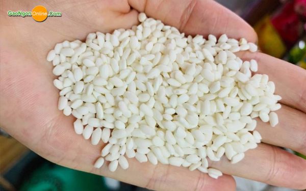 Thành phần dinh dưỡng của gạo nếp 