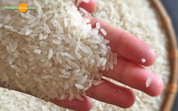 Cách chọn mua gạo 64 chuẩn, không pha trộn