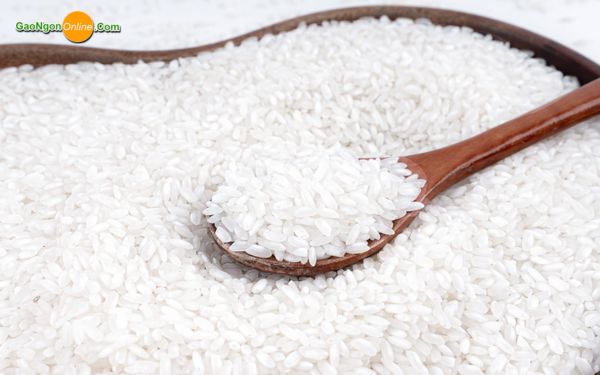 Gạo Hàm Châu là gạo gì? Nguồn gốc xuất xứ