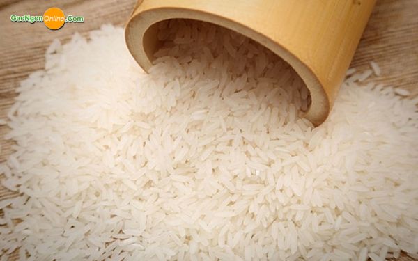 gạo jasmine là gạo gì