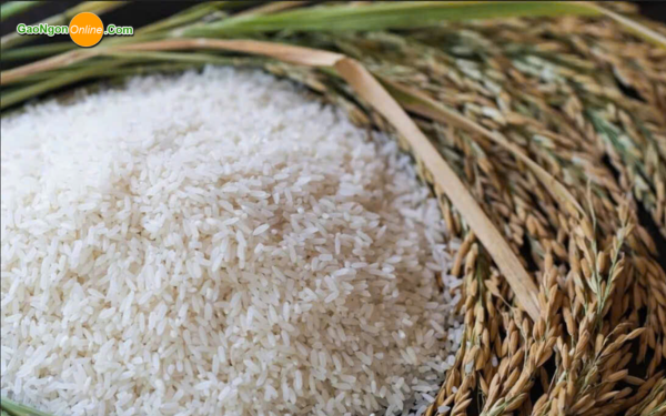 gạo ngon dưới 17.000đ/kg