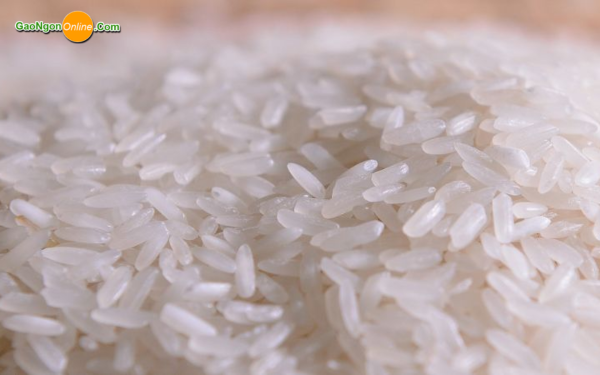 Gạo 64 Thơm Chợ Đào