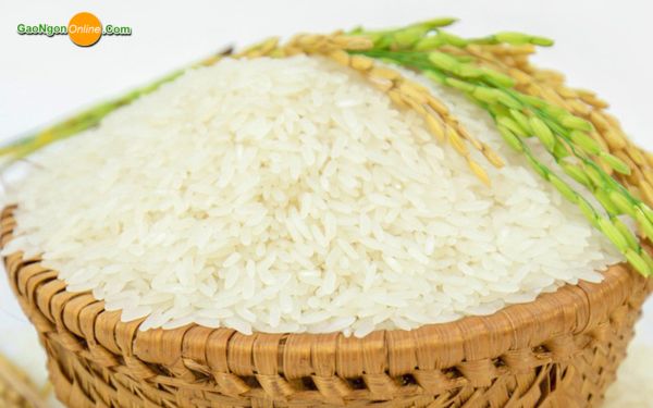 Gạo Nàng Thơm Chợ Đào là gạo gì?