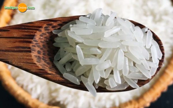 Gạo Nàng Thơm Chợ Đào là gì?