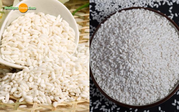 nếp ngỗng và nếp cái hoa vàng