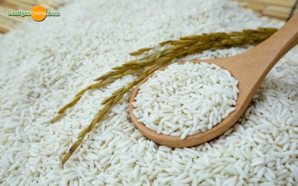 Nếp ngỗng là gì? 