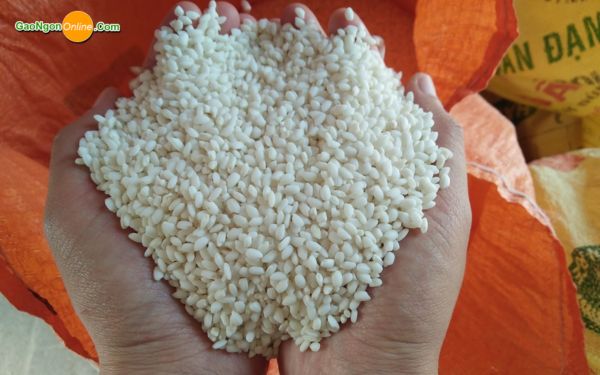 Nếp cái hoa vàng là gì? 