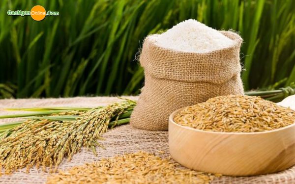 Ngành sản xuất và xuất khẩu gạo tại Việt Nam