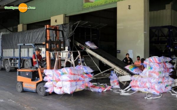 Nhà máy sản xuất gạo