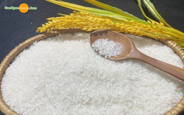 mua gạo trực tiếp từ các công ty sản xuất lớn không