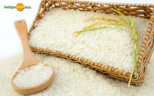 Nhu cầu mua gạo tại kho gạo sài gòn