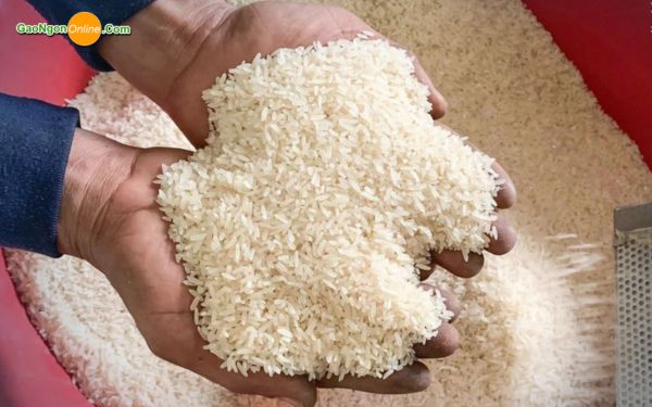 Tiêu chí đánh giá kho gạo Sài Gòn uy tín