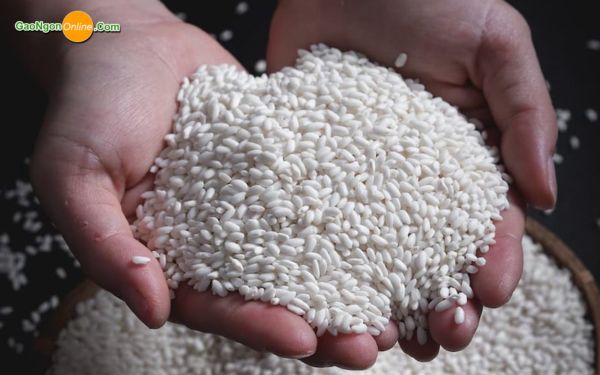 Mua nếp cái hoa vàng chất lượng tại TPHCM