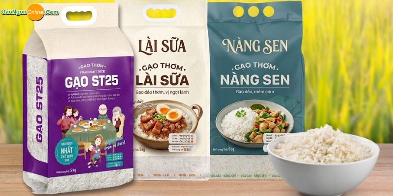 Nhóm gạo đặc sản tại Gạo Ngon Online 