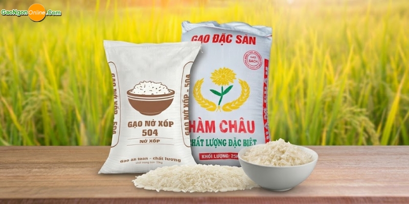 Nhóm gạo thường tại Gạo Ngon Online