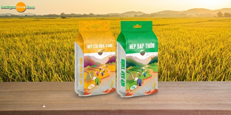 Nhóm nếp ngon tại Gạo Ngon Online