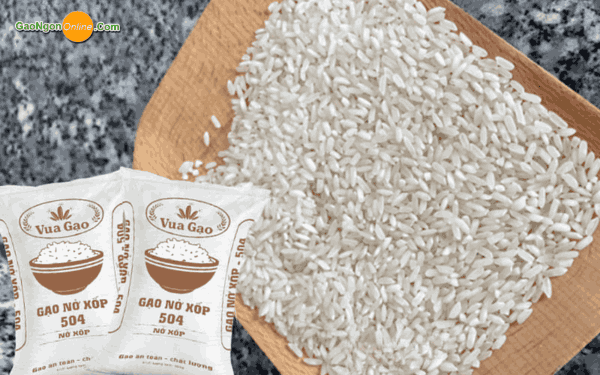 Màu sắc hạt gạo 504