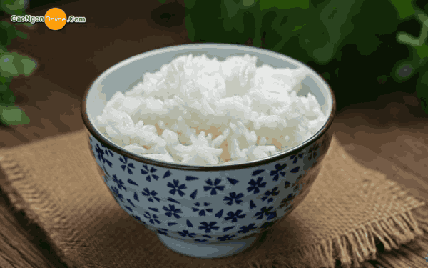 Đặc tính cơm khi nấu gạo 504
