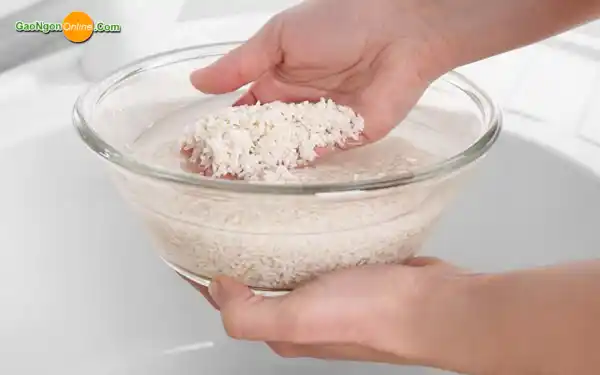 Gạo bị ướt phải làm sao