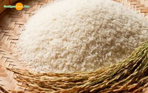 Gạo bị ướt phải làm sao (làm khô gạo)