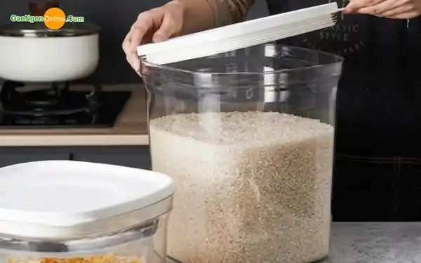 Sử dụng thùng nhựa PP có nắp kín để đựng gạo