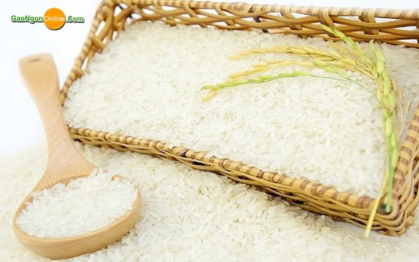 Gạo Hàm Châu mới