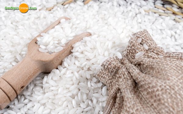 Gạo Hàm Châu hạt tròn