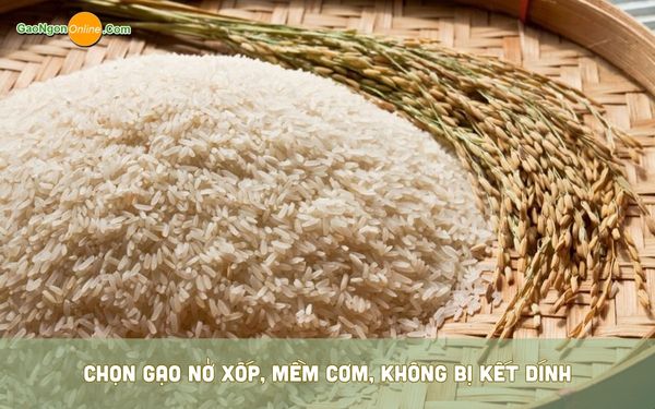 Chọn gạo nở xốp, mềm cơm, không bị kết dính