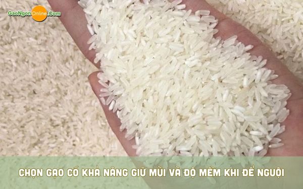 Chọn gạo có khả năng giữ mùi và độ mềm khi để nguội