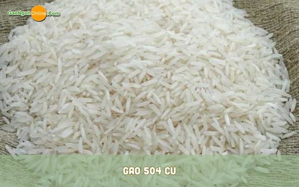 Gạo 504 cũ